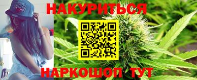 apvp Бийск