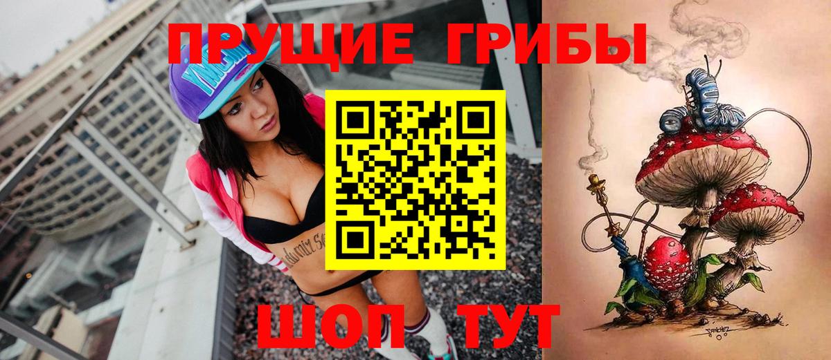Псилоцибиновые грибы GOLDEN TEACHER  Псилоцибиновые грибы Psilocybe  Вход с VPN  Дедовск 