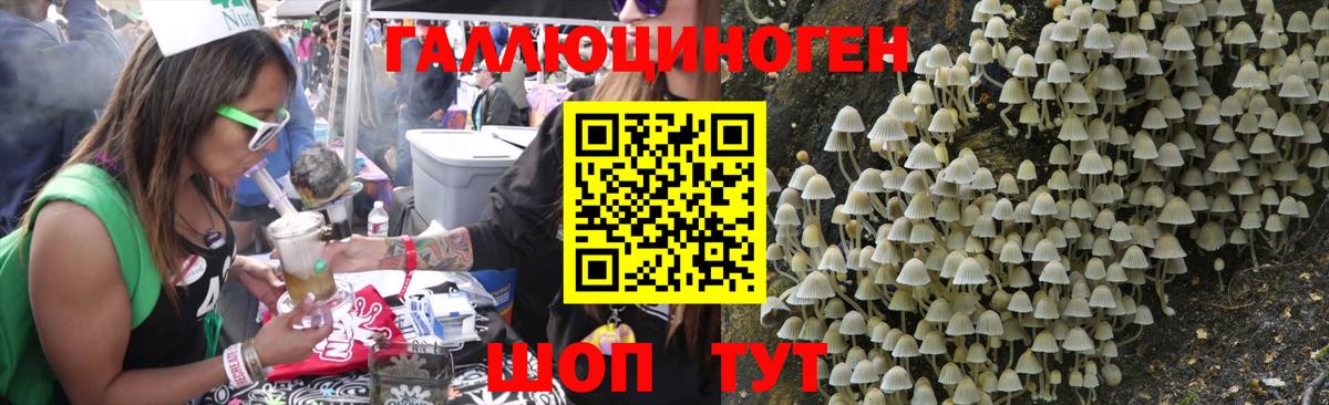Псилоцибиновые грибы Cubensis Дедовск